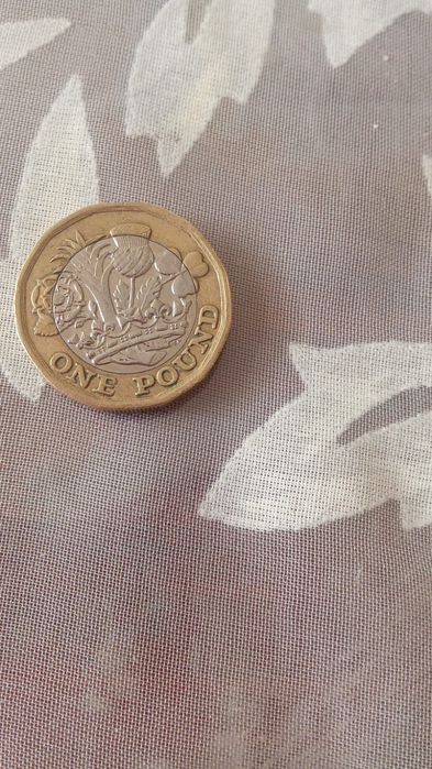 Moeda one pound 2017 rara