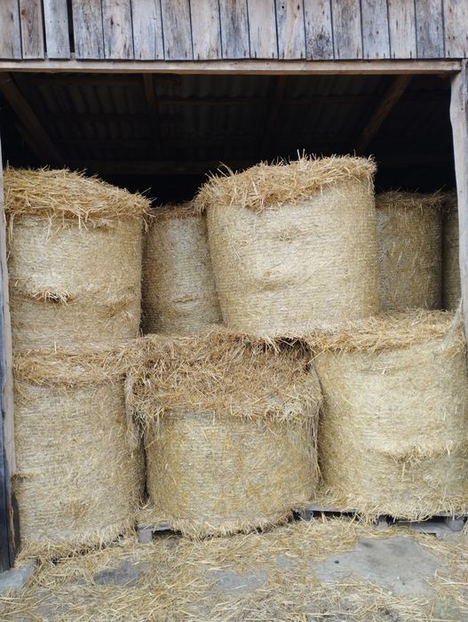 Sprzedam słomę w balotach