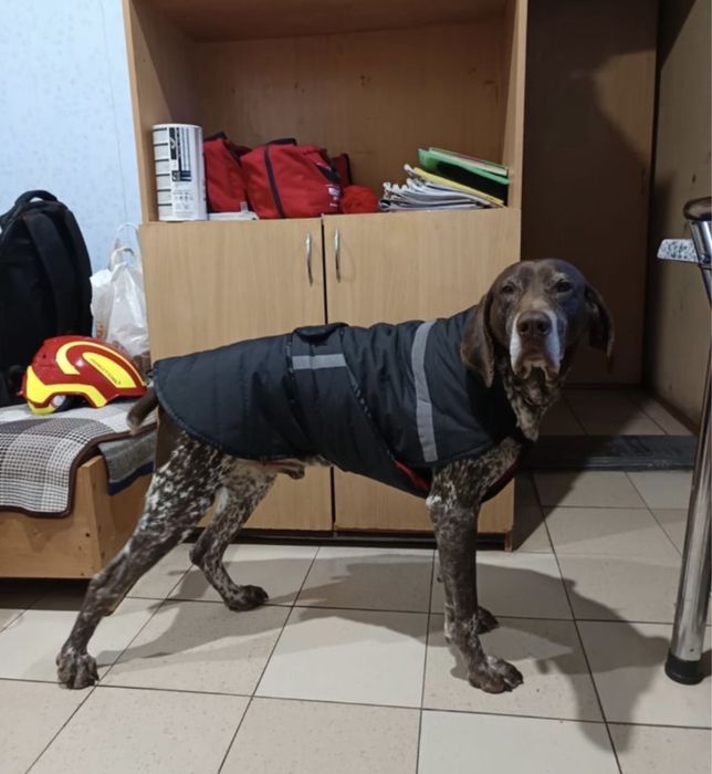 Теплый зимний собачий костюм, жилетка, комбинезон одежда для собак