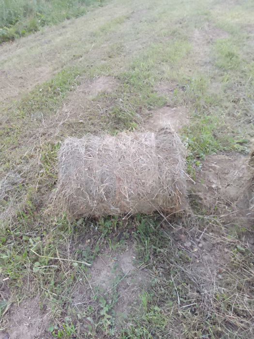 Продам сіно у тюках