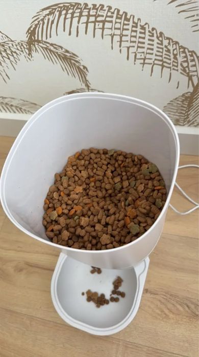 Alimentador cão e gato automatico por HI-FI