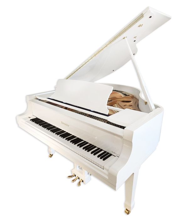 Dou aluas de piano a principiantes