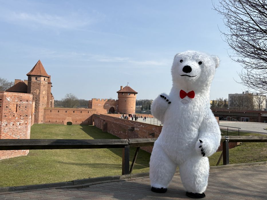 Miś na imprezy – animacje, urodziny, eventy!