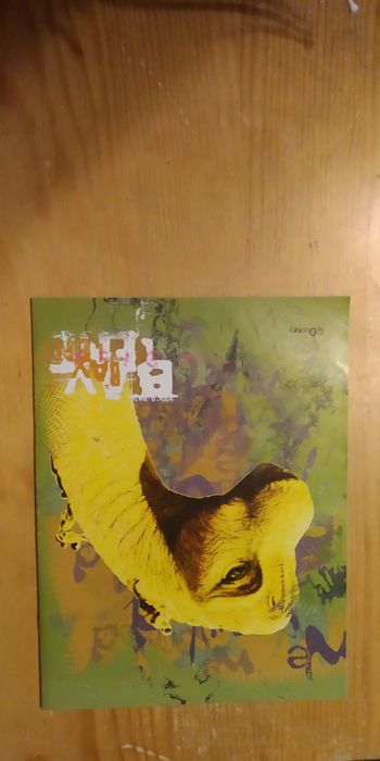 Coleção Disney Dinossauro em fascículosulos