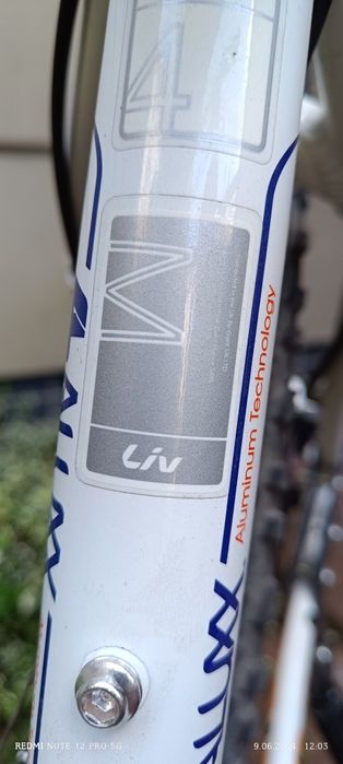 Rower Damski Giant Liv