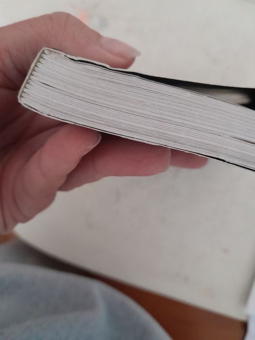 Histórias de amor da realeza, Gill Paul