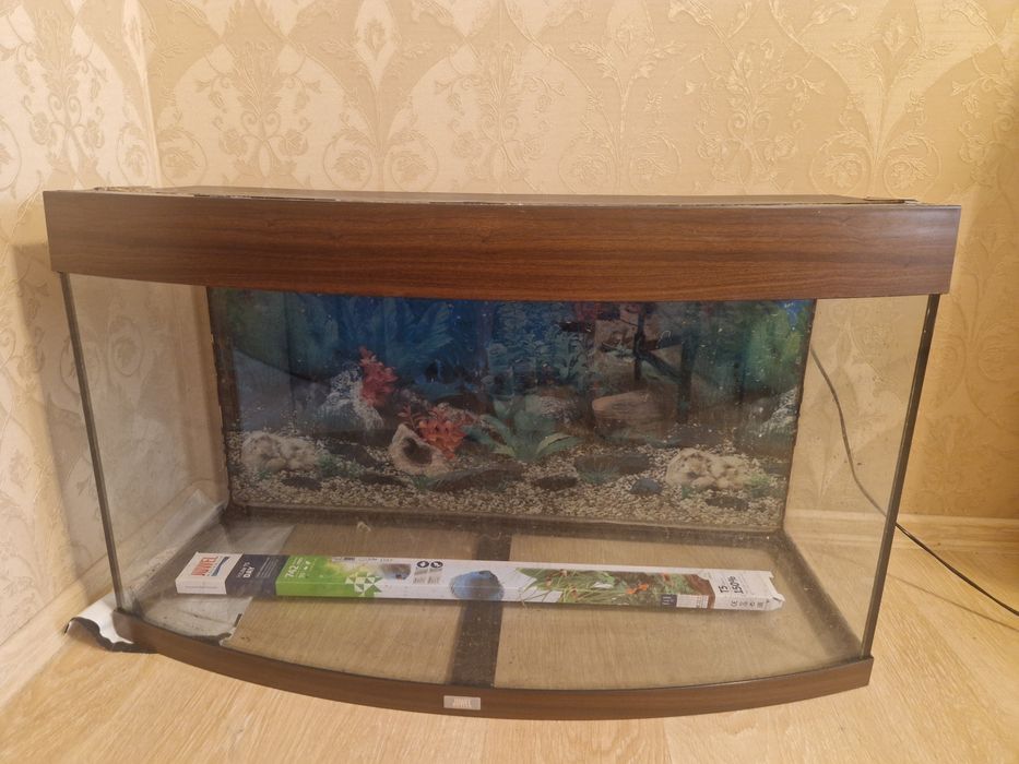 Аквариум, терариум, флорариум juwel vision 180