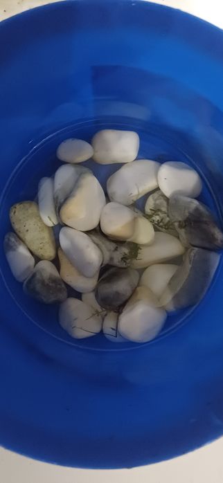 Akcesoria do akwarium, korzenie, filtry, kamienie, napowietrzacz ...