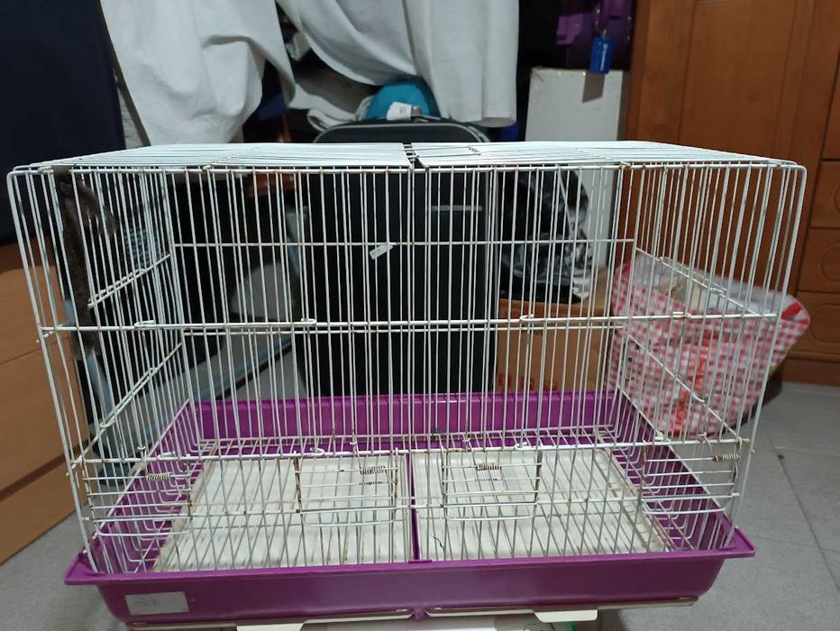 Gaiola (Foros de Amora)