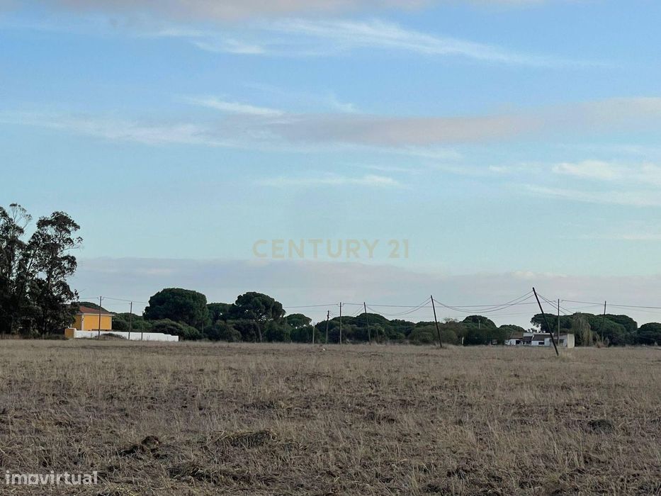 Terreno Rústico com Projeto Aprovado | 5.000 m² | Foros de Salvaterra