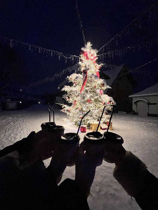 Готель, під групу  ,Славсько