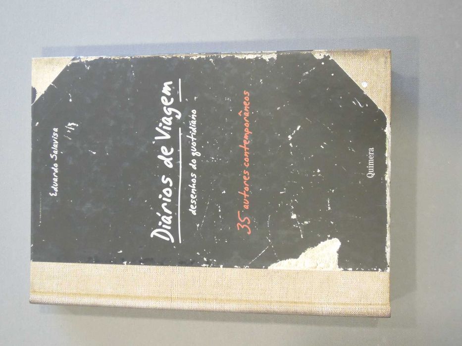 Livro Diários de Viagem, Desenhos do Quotidiano