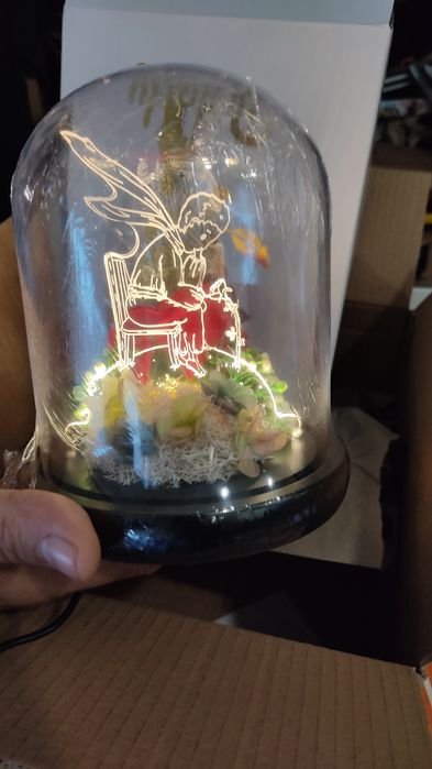 Rosa redoma led principezinho bela monstro luz presença iluminada