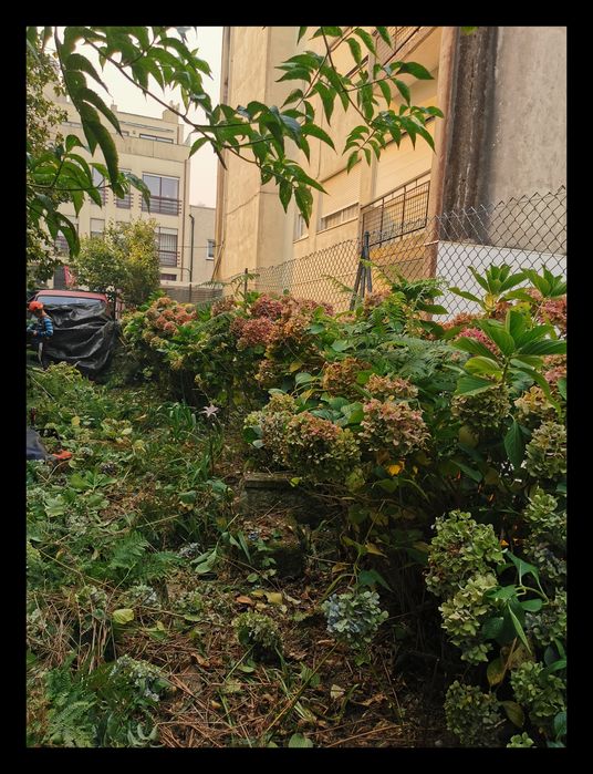 Limpeza de terrenos e Remodelações