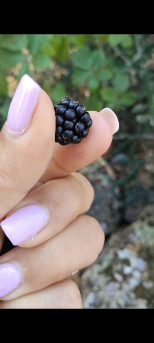 Unhas de gel/verniz gel/cabeleireiro