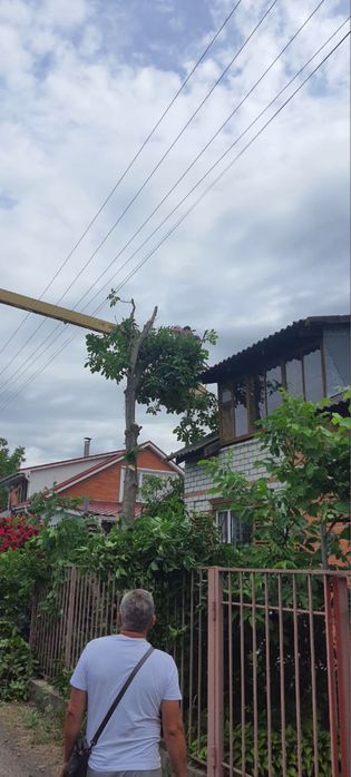 Спил, видалення, обрізка дерев, корчування пнів.Автовышка,вывоз мусора