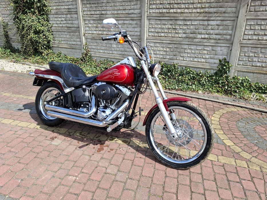 Harley-Davidson Softail Harley davidson softail castom fxstc