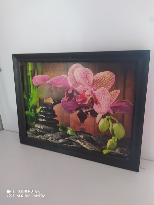 Obraz z ramką wymiary 27 x 20