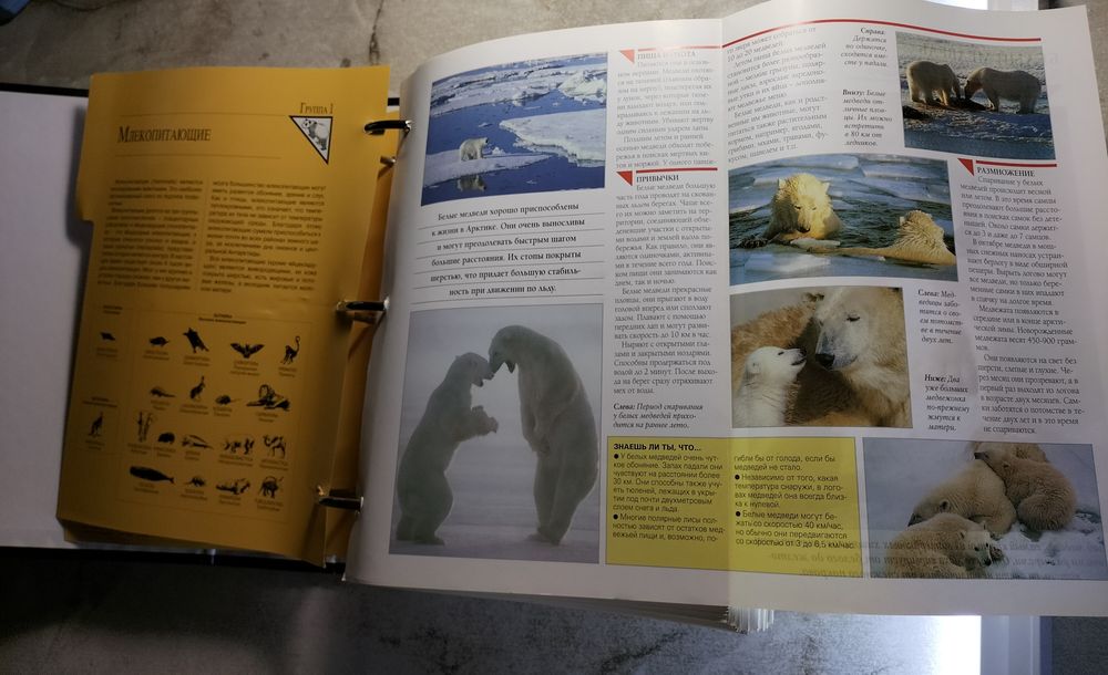 Энциклопедия собранная