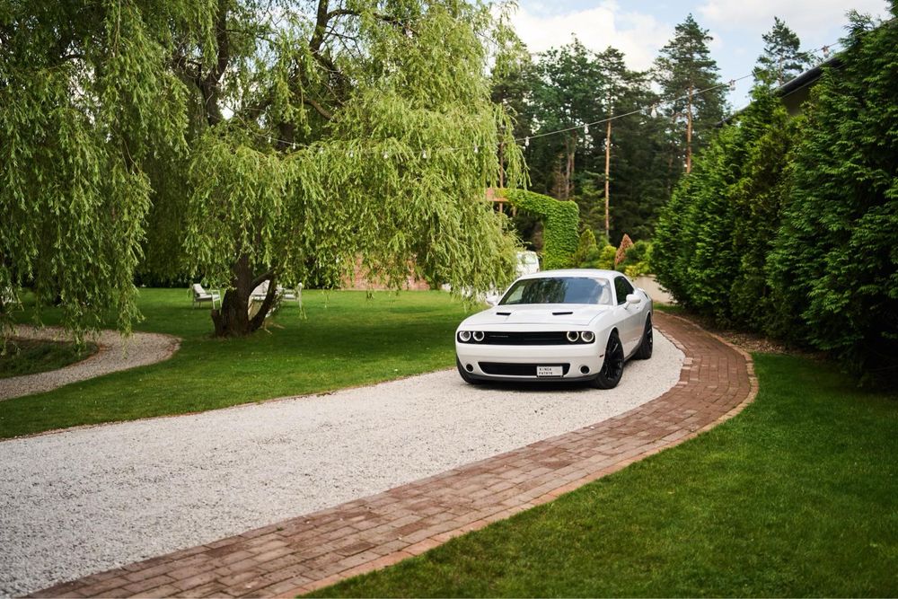 Samochód auto do ślubu Dodge Challenger