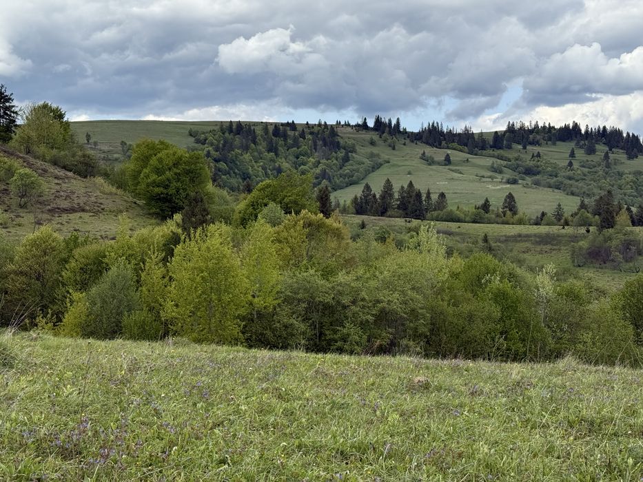 Продається ділянка у с. Річка з краєвидами