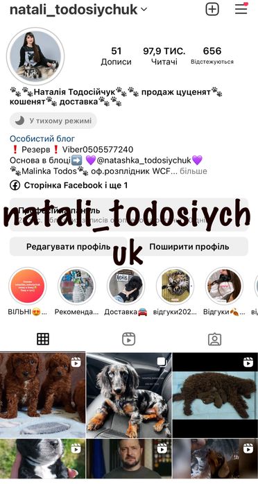 Дівчинка (хвостик є)