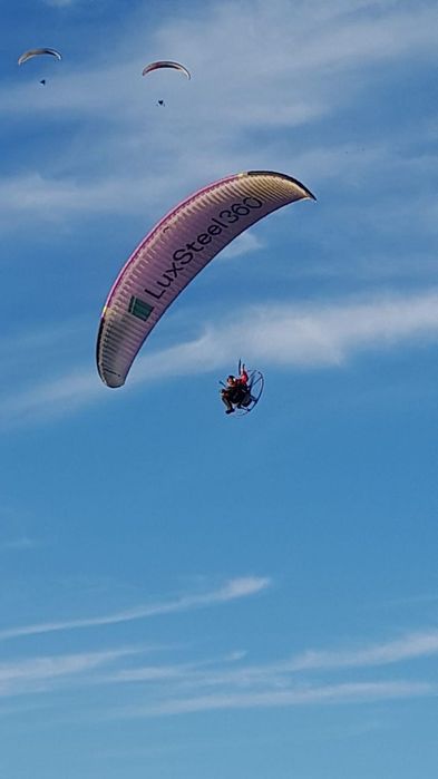 Paramotor asa niviuk cougar 3