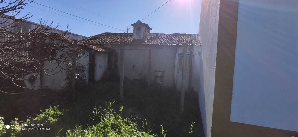 Casa em ruínas 50m2