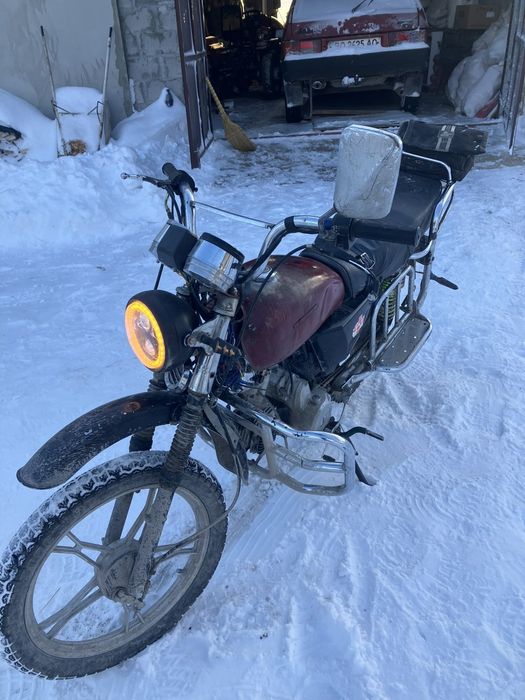 Продам альфа мустанг