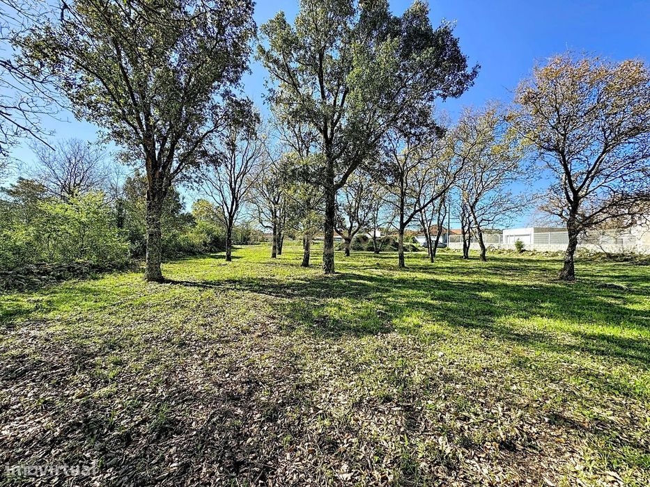 O lugar ideal para construir em plena natureza – Alcobaça