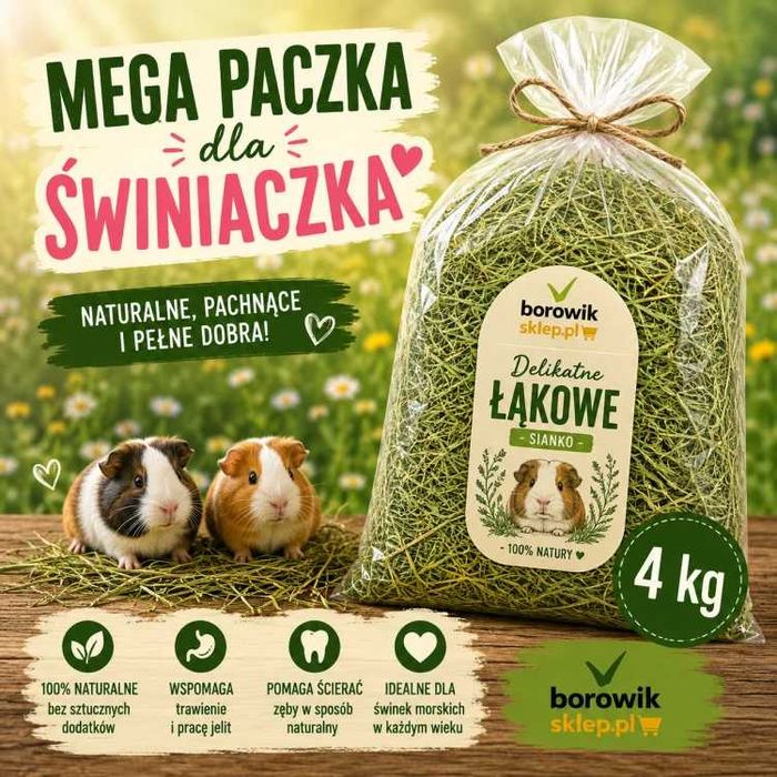 4 kg sianko łąkowe dla świnek morskich - mega paczka dla świniaczka - BOROWIK