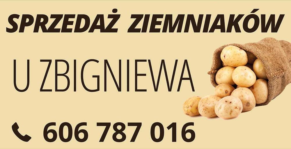 Ziemniaki Vineta, Lilly jadalne