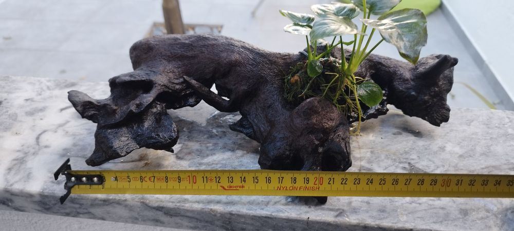 Tronco com plantas