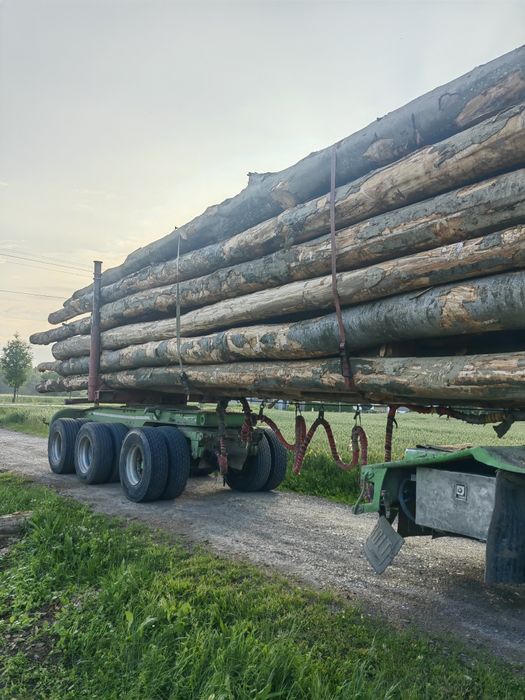 Buk, grab, dab i inne gatunku Drewno opałowe kominkowe