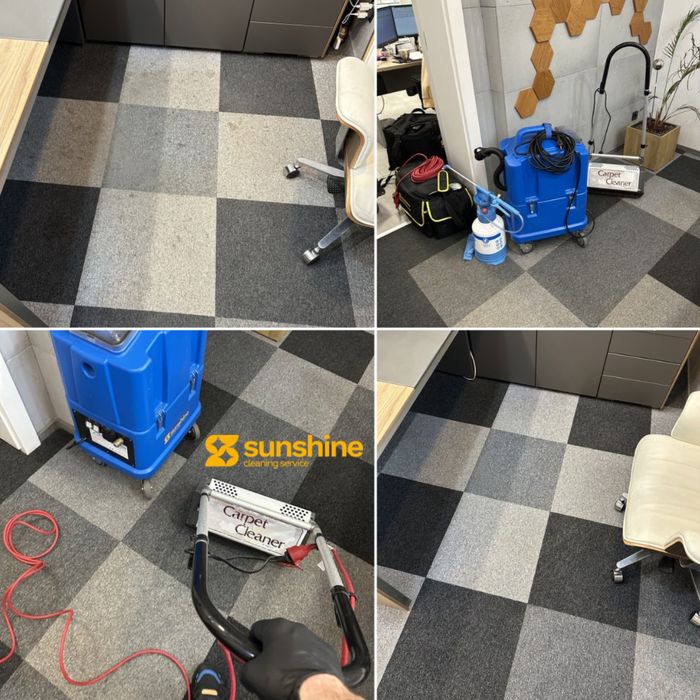 Profesjonalne pranie tapicerki i wykładzin