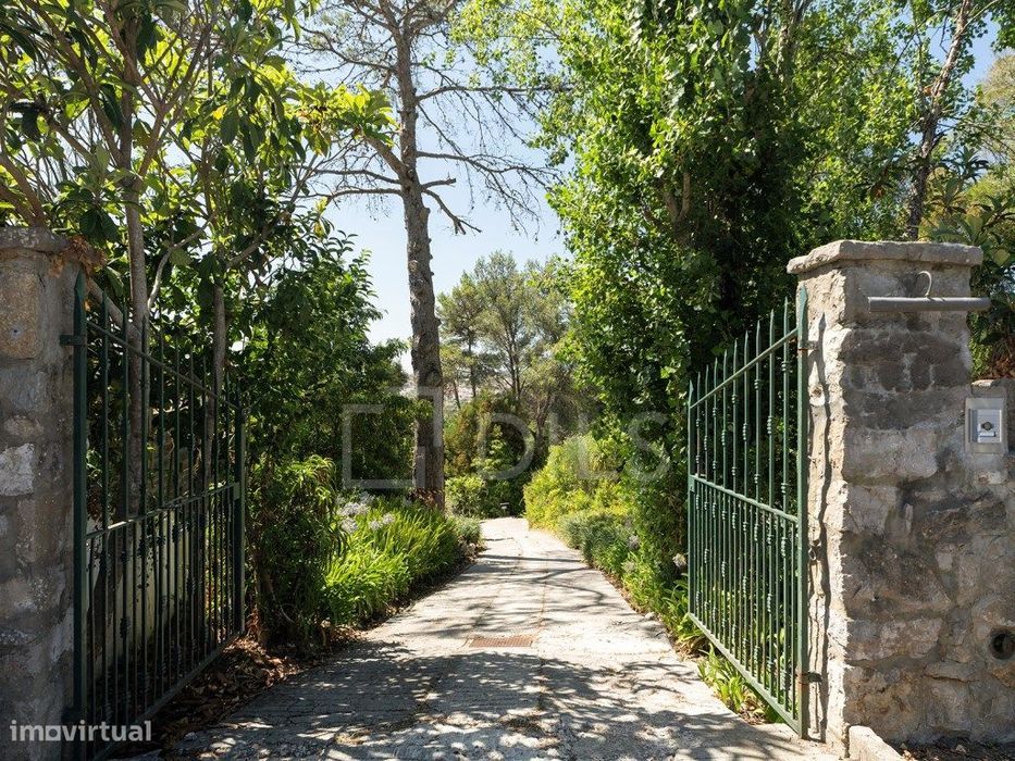 Estate with Land in Sintra