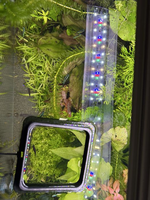 Продам акваріум 160 літрів