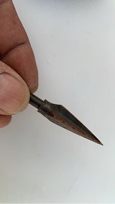 Besta para caça, pesca ou desporto