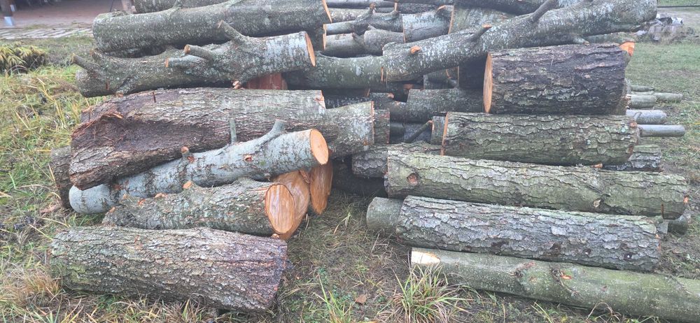 Drewno opałowe do kominka