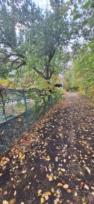 Продається дача, в затишному та тихому місці