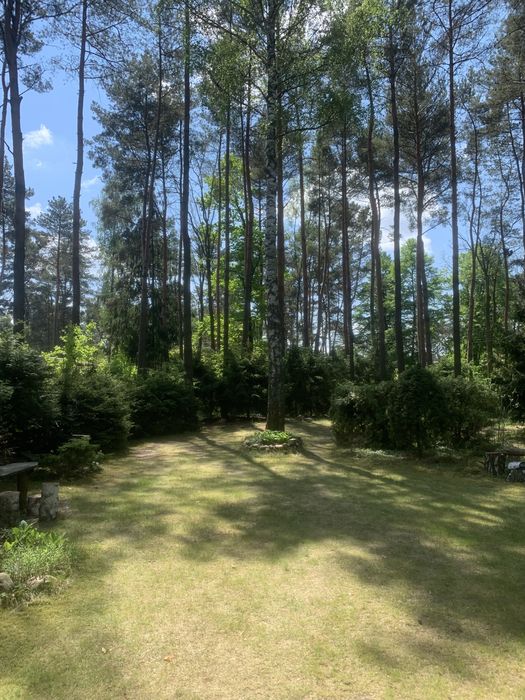 Magiczna Działka Blisko Plaży Nad Liwcem – 50 Min Od Warszawy | 1100 m² z Pięknym Domkiem - 5 min do PKP i rzeki Liwiec | Kaliska - Gmina Łochów - Widok 2