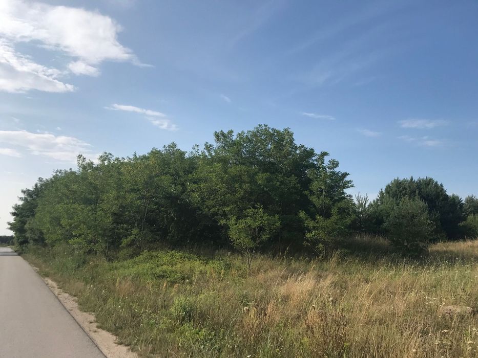 Działka 8500m² Gowarczów