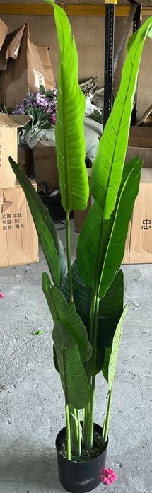 Arvores aves do paraiso lindissimas para decorações