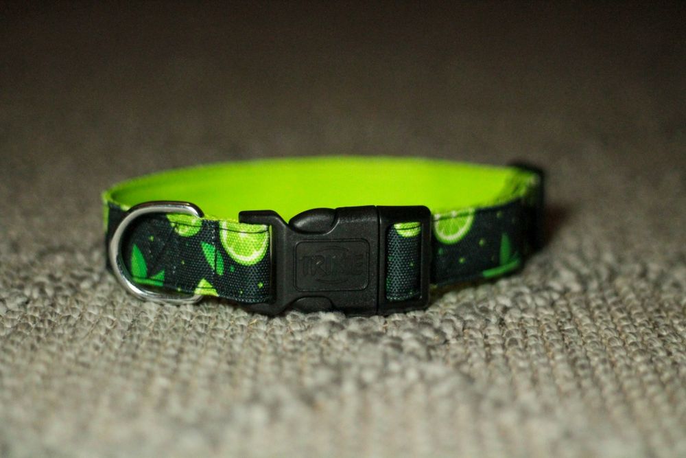 Нюхальний килимок і ошейники для собак