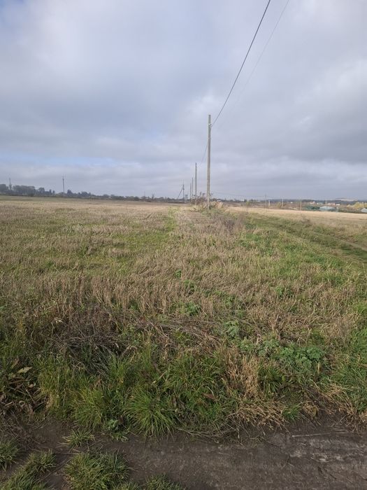 Продам Земельну Ділянку Лісові Гринівці