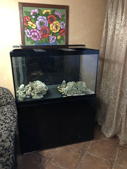 Акваріум 550л з усім обладнанням