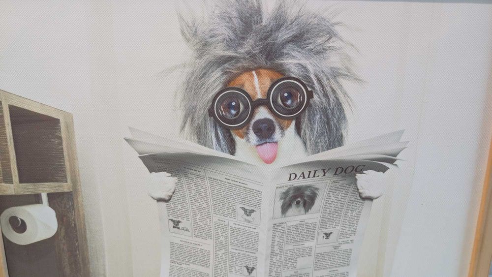 Obrazek śmieszny do toalety WC pies daily dog 32x42cm