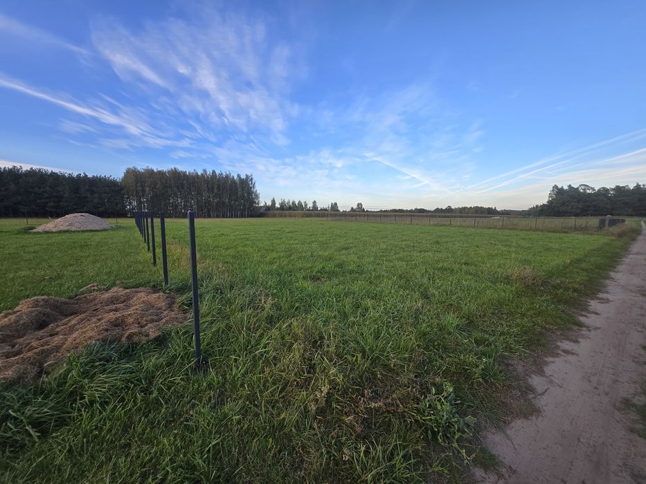 Sprzedam działkę na mazurach 1000m² miejscowość Rostki - Widok 3
