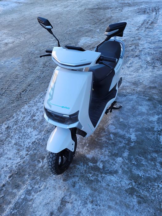 Barton Evivo - stan jak nowy