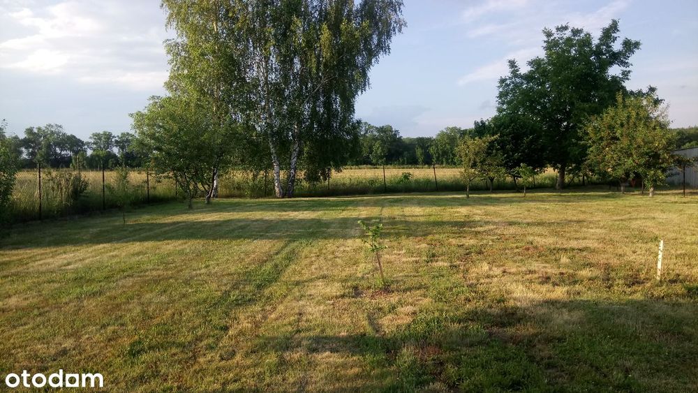 Działka budowlana 595 m² w Wrocławiu!